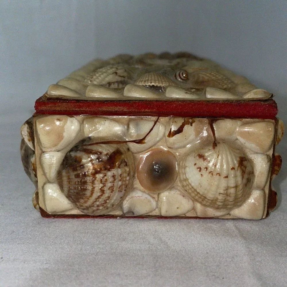 Shell Covered Small Box - Picture 7 of 9